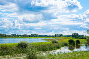 Panelen met natuurfoto