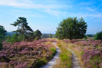 Panelen met natuurfoto