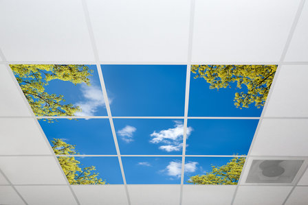 Daglicht fotopanelen met luchtfoto voor een systeemplafond