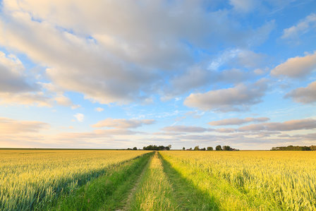 Fotopaneel met natuurfoto - Extra fotodoek - muur | Beter door Beeld