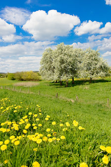 Landschap AR