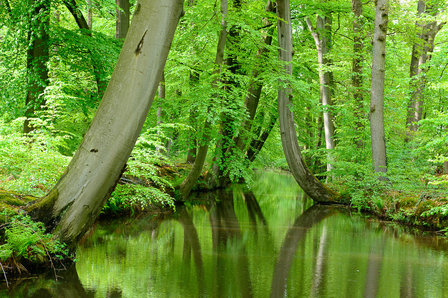 Landschap BO