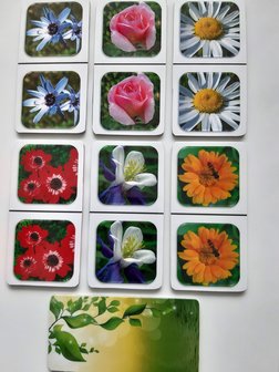 Foto Domino - Bloemen