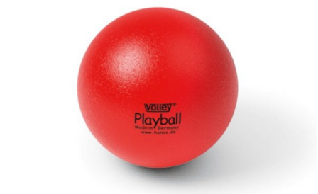 VOLLEY&reg; Softbal voor basketnet