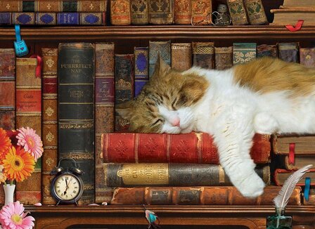 Slapende kat in boekenkast 500 axtra grote puzzelstukken