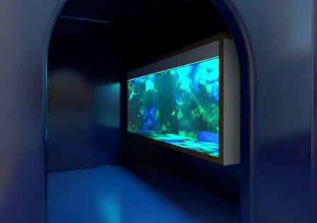 Aquarium met Blacklight (100 x 40 x 65 cm)