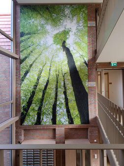 Akoestisch fotopaneel - voor muur of plafond - dempt geluid