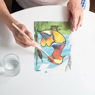 Aquapaint - Fantastische vogels - Schilderen met water