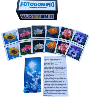 Foto Domino - Bloemen II