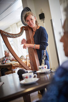 Arpalisa - Harpmuziek - Muzikaal contact en warme klanken