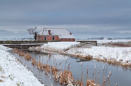 DVD of USB - Film | Winter in Holland (30 min.)