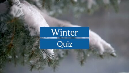 DVD of USB - Film | Winter Quiz