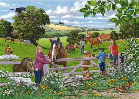 Puzzel-250-XL-stukjes-Suikerklontjes-Dementievriendelijke-Puzzel