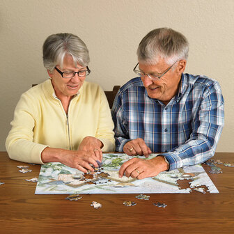 Puzzel - 275 XL stukjes - Winterkoor Dementievriendelijke Puzzel