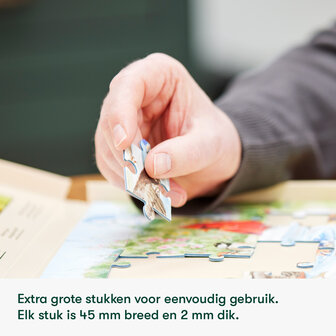 Puzzel - 35 XXL stukjes - Stoomtrein