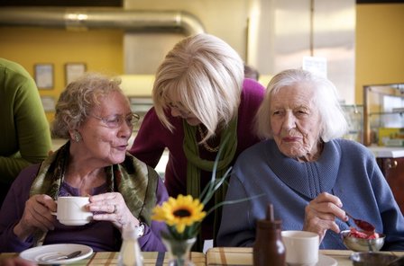 Alzheimercaf&eacute; of Theehuis