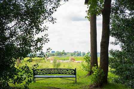 Landschap AI