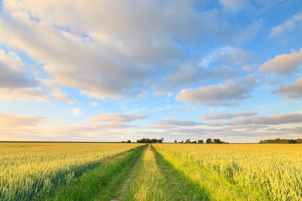 Fotopaneel met natuurfoto - Extra fotodoek - muur | Beter door Beeld