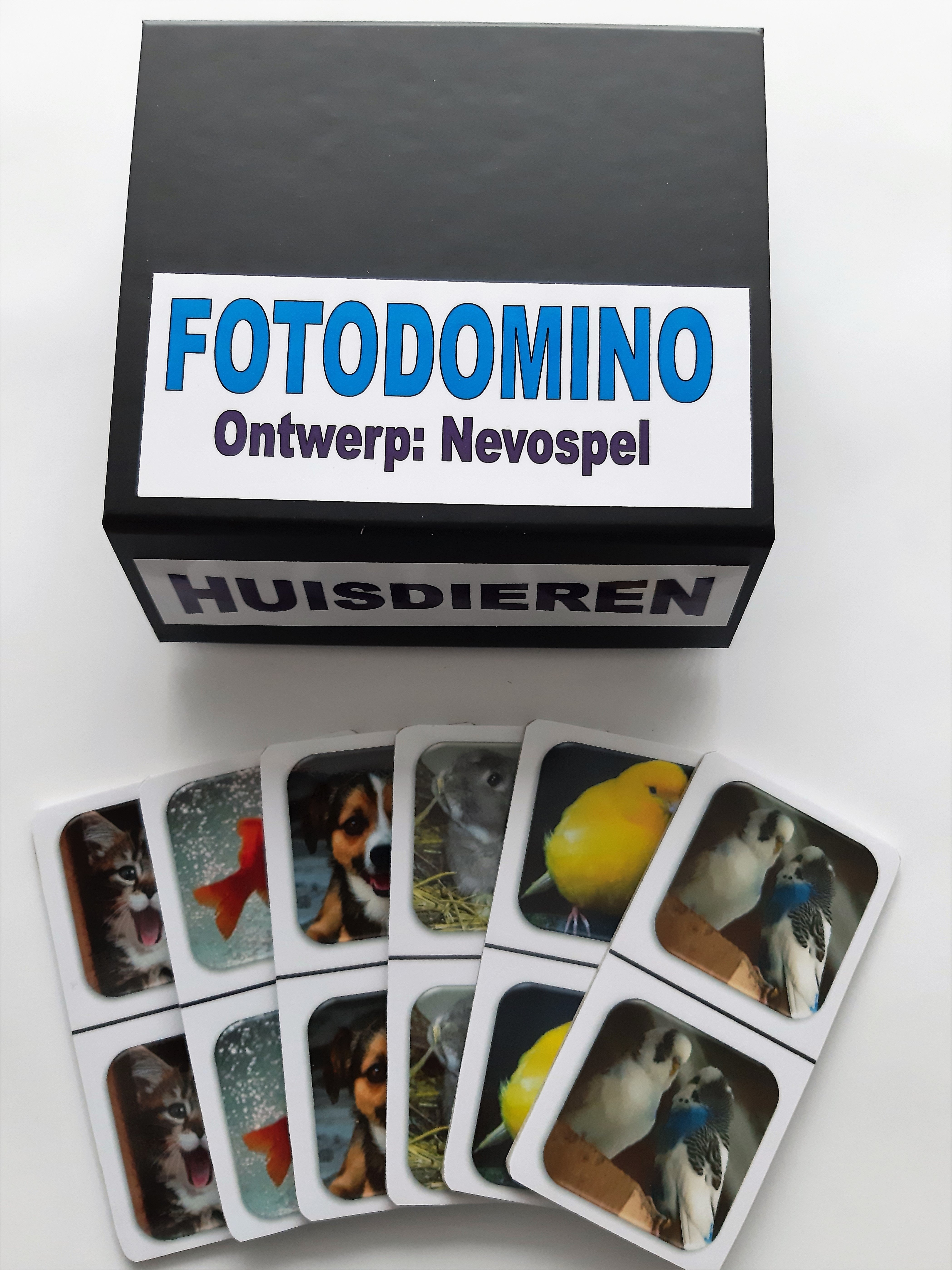 Foto Domino - Huisdieren