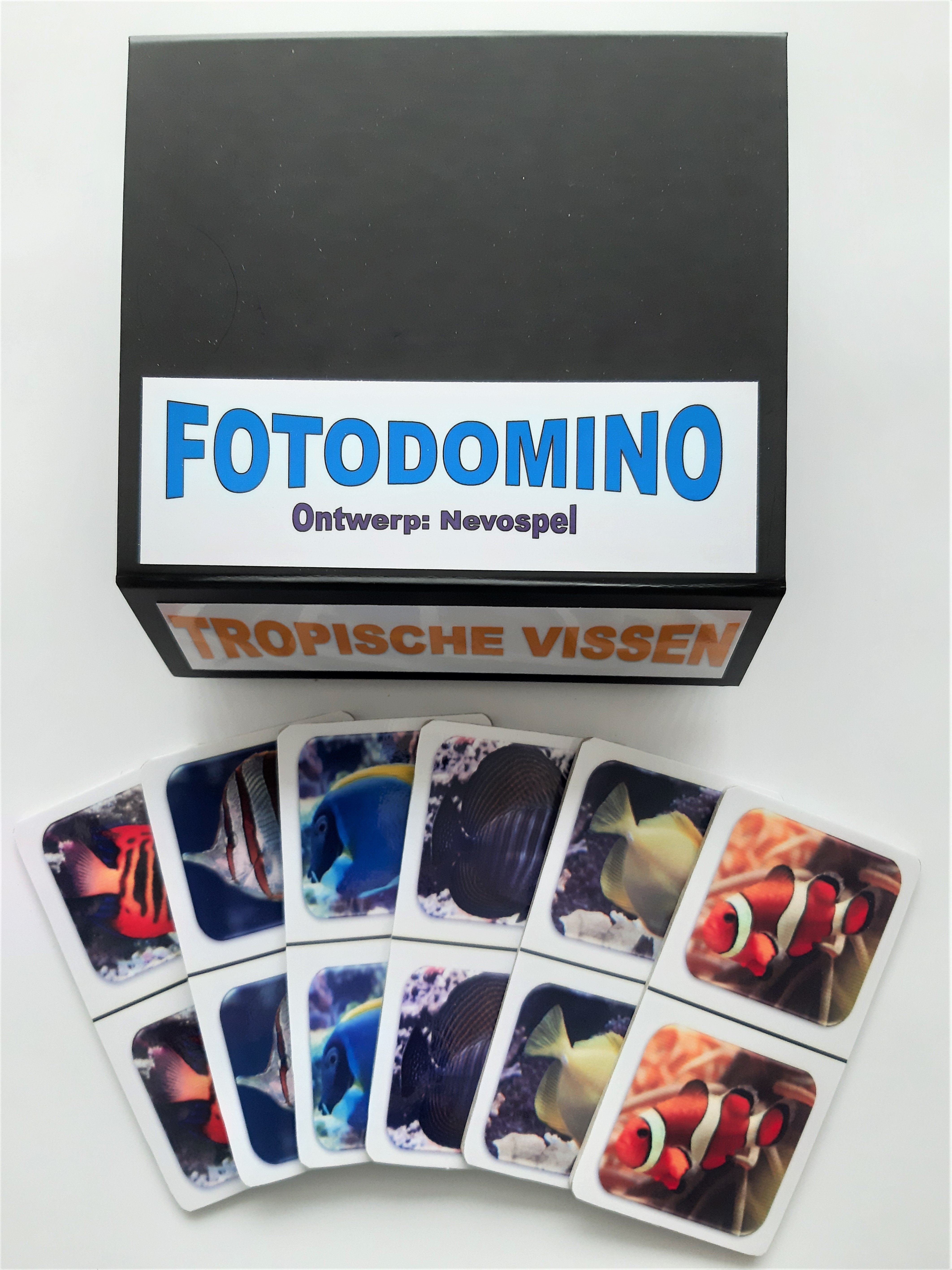 Foto Domino - Tropische vissen