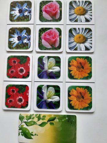 Foto Domino - Bloemen