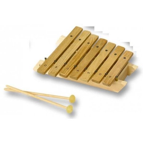 Muziekinstrument - Xylofoon