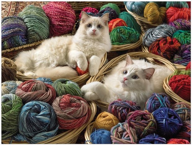 Puzzel - 275 XXL stukjes - Katten tussen bollen wol