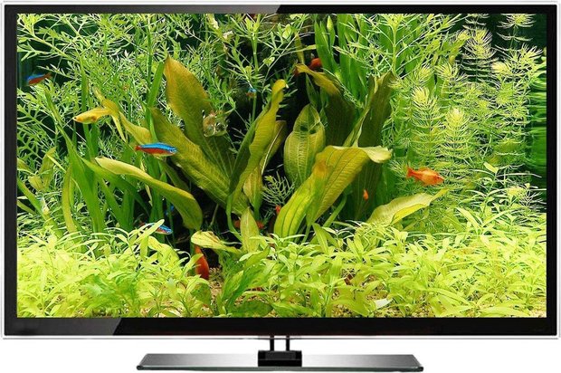 DVD Tropisch aquarium en zoet water