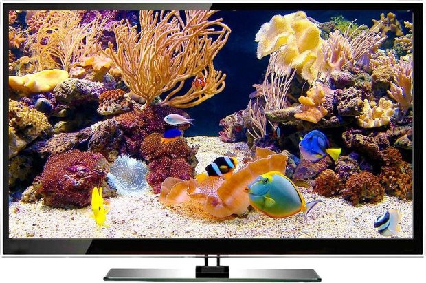 DVD Tropisch aquarium en zoet water