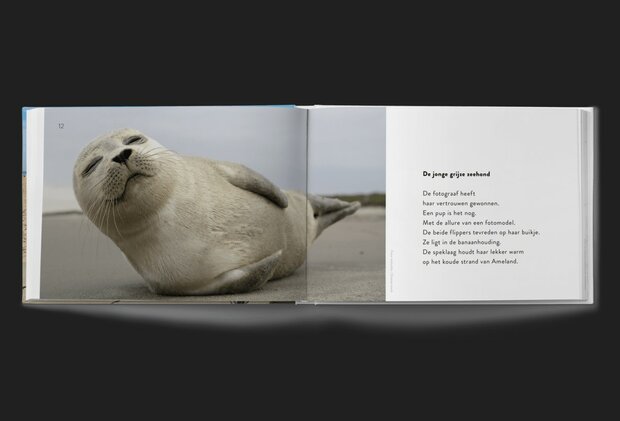 Zeestrand - van alledag - leesboek - geheugen