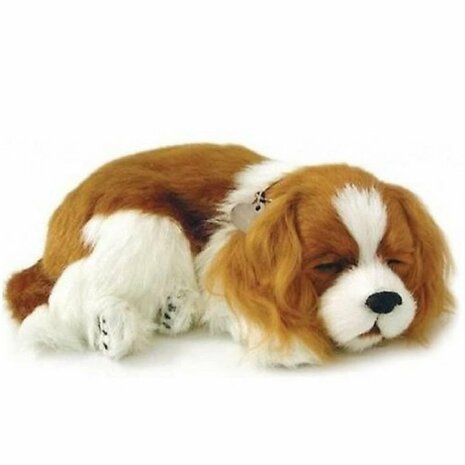 Knuffeldieren - Soft cavalier King Charles