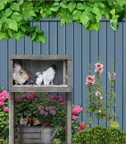 Beleefwand kippen met bewegend beeld