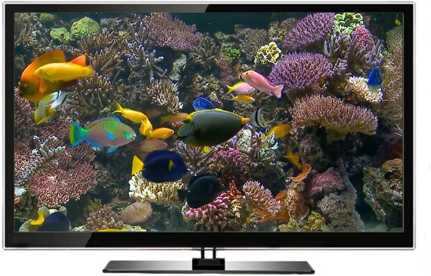DVD Tropical Reef Aquarium