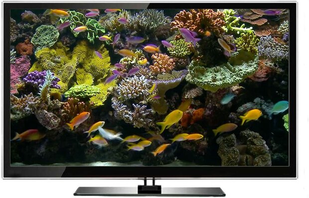 DVD Tropical Reef Aquarium