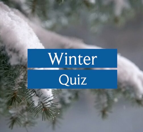 DVD of USB - Film | Winter Quiz