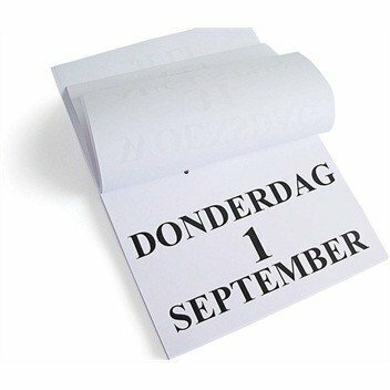 Groot-letter A4 dagscheurkalender - 2023