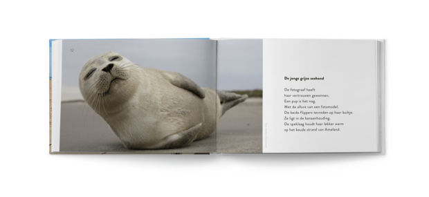 kijkboek: Zeestrand van alledag