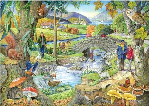 Puzzel - 250 XL stukjes - Wandeling langs de Rivier Dementievriendelijk