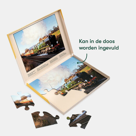 De Relish Orient Express puzzel in open doos, met voorbeeldafbeelding om het leggen te vergemakkelijken — ideaal voor me