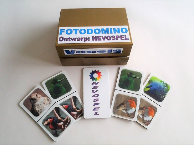 Foto Domino - Vogels