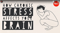 Video over hoe stress de kans op dementie vergroot. Het omgekeerde is ook waar. Video over hoe stress de kans op dementie vergroot. Het omgekeerde is ook waar.
