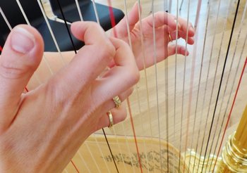 En, twee, in de maat Wiens maat? En, twee, in de maat Wiens maat?