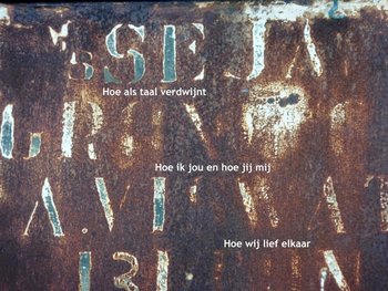 Wilt u blauw of groen? Ja! Wilt u blauw of groen? Ja!