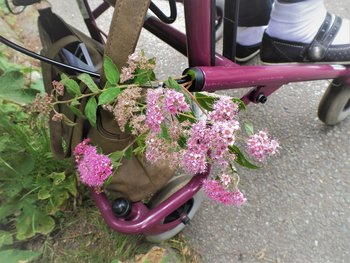 Zoek de zon op! Zoek de zon op!