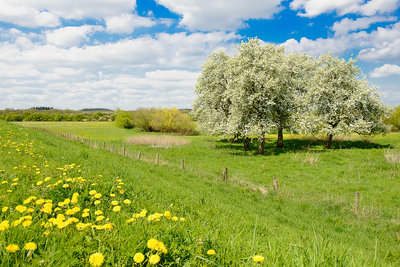 Landschap AQ