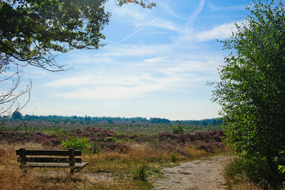 Landschap BC