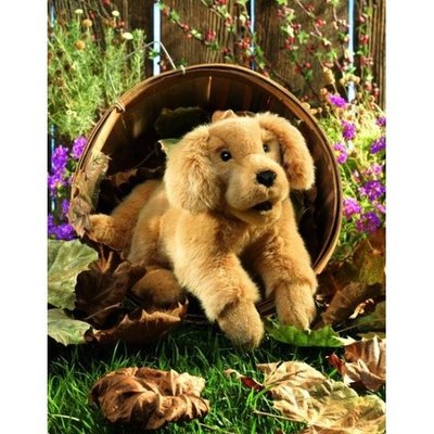 Pop - Handpop Golden Retriever, 43 cm