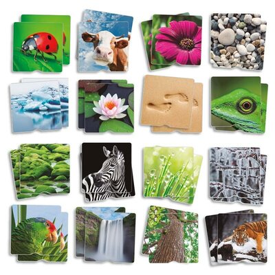 Memory - Voel Memory