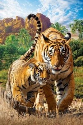 Puzzel - 250 XL stukjes - Tijger met jong