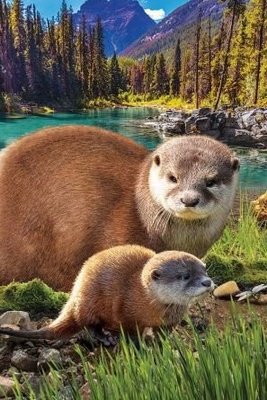 Puzzel - 250 XL stukjes - Otter met jong